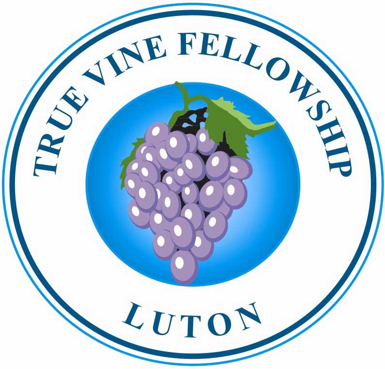 True Vine Fellowship